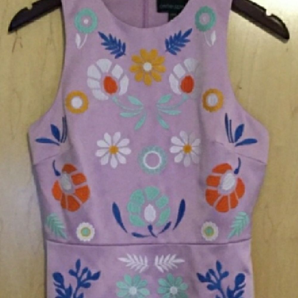 Ventila Rowley Sleeveless Embroidered Mini… - Picture 7 of 10